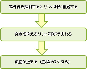 図：紫外線療法